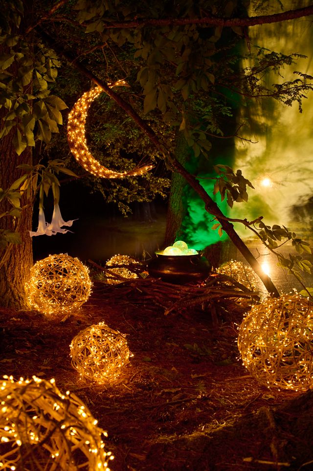 Stargazer Nature Effects Illuminated Vine Sphere #7