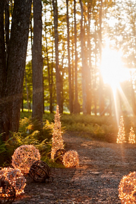 Terrain Stargazer Nature Effects Illuminated Vine Sphere