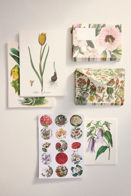 Flowers Correspondence Set | Terrain