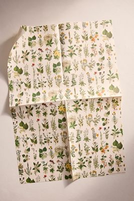 Flora Gift + Creative Paper Book
