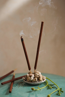 Terrain Outdoor Incense Sticks, Tea Tree + Desert Cactus