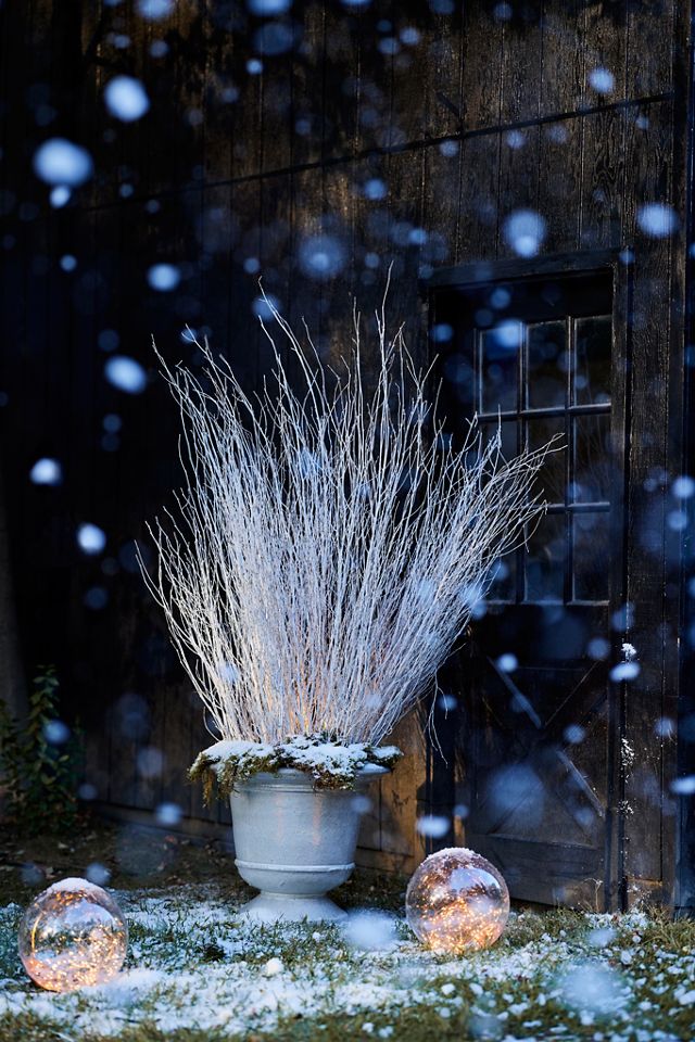 Stargazer Iridescent Lightorb #8