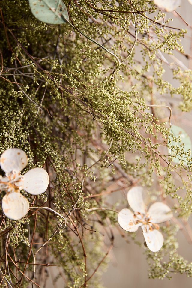 Verdant Quailbrush Dried Wreath #2