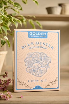 Mushroom Grow Kit