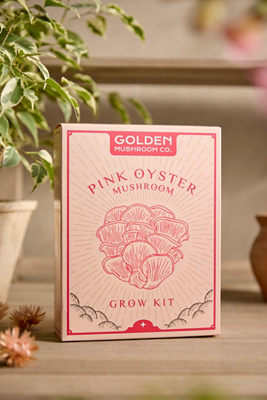 Terrain Mushroom Grow Kit