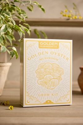 Mushroom Grow Kit