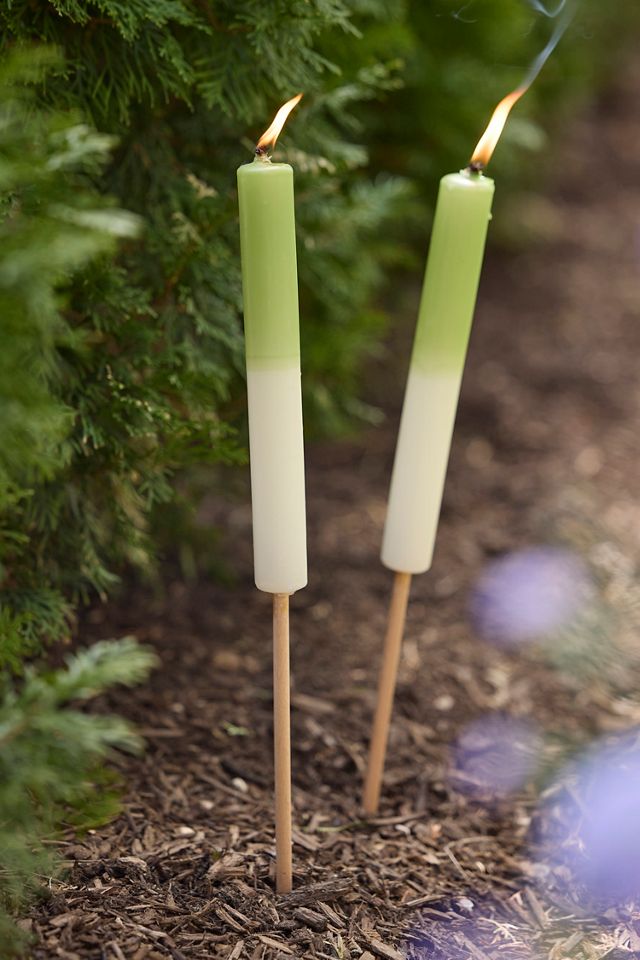 Ombre Citronella Torch Candle, Green