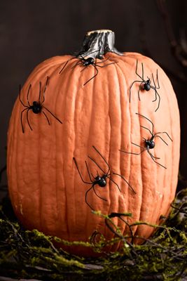 Spooky Spider Pumpkin Stakes, Set of 5