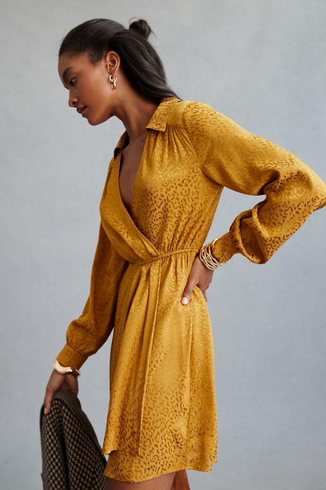 Leopard Print Long-Sleeve Mini Dress #3