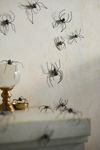 Iron Spider Wall Decor, Set of 18
