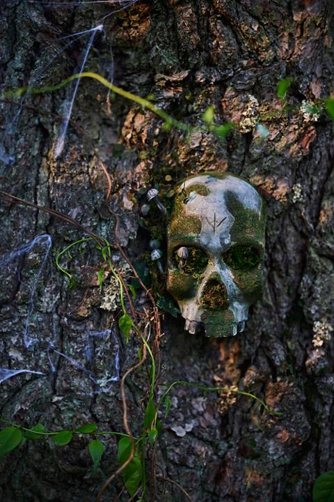 Mossy Metal Skull