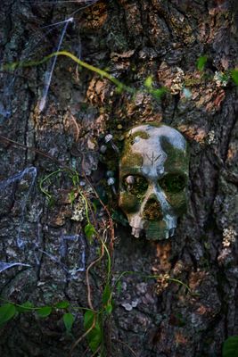 Mossy Metal Skull