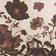 Chocolate Chinoiserie