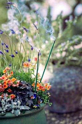 Gifts | Home, Garden + Wellness Gifts | Terrain