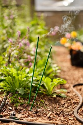 Citronella Garden Sticks