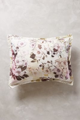 Meadow Dusk Shams