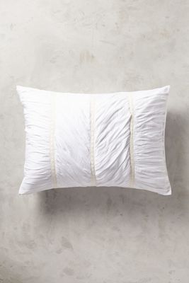 Bertilia Shams