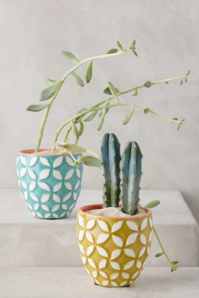 Geoflora Planter #1