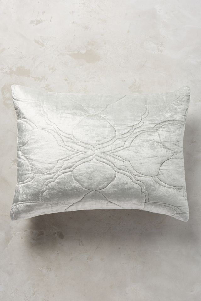 Velvet Isadora Shams