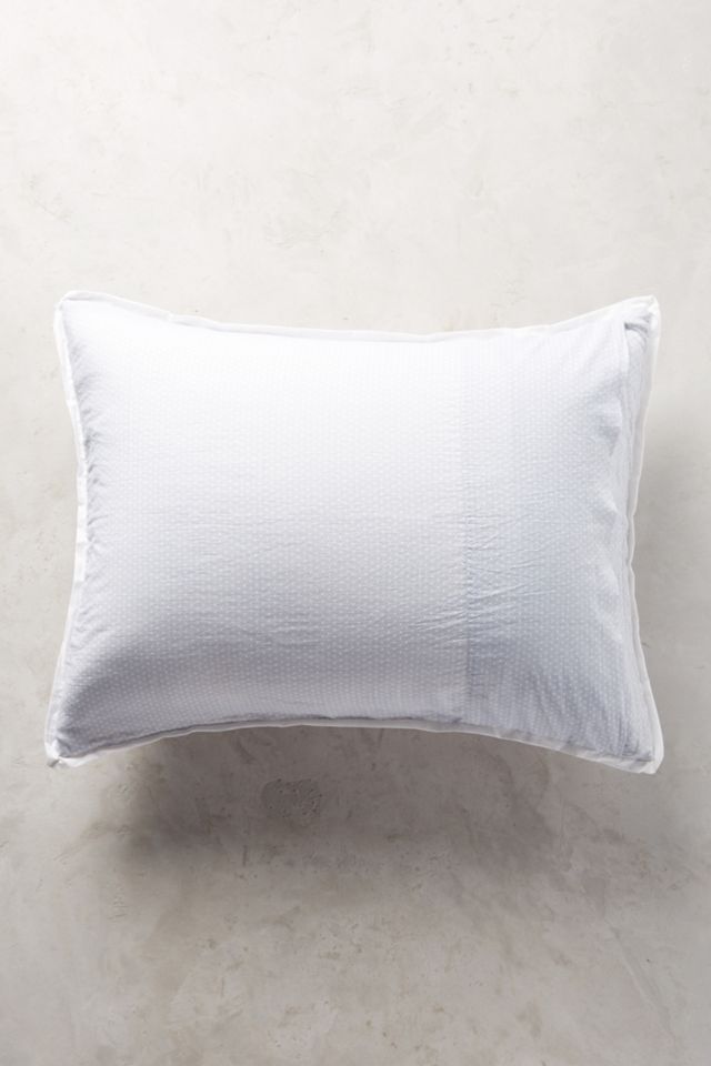 Paravel Shams #1