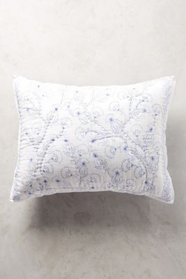 Paravel Shams