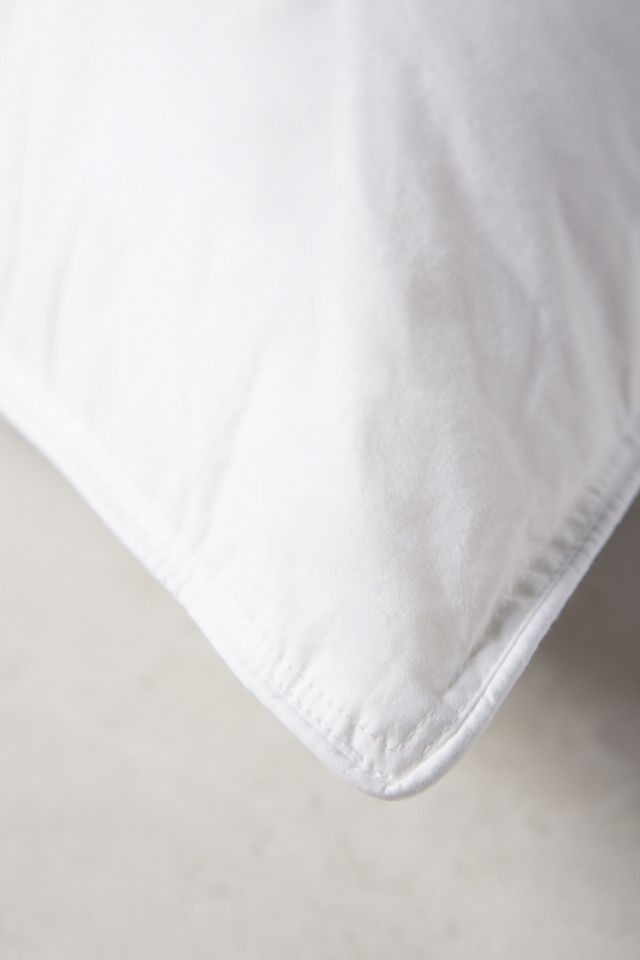 Geneva Down Alternative Hypoallergenic Sham Insert #1
