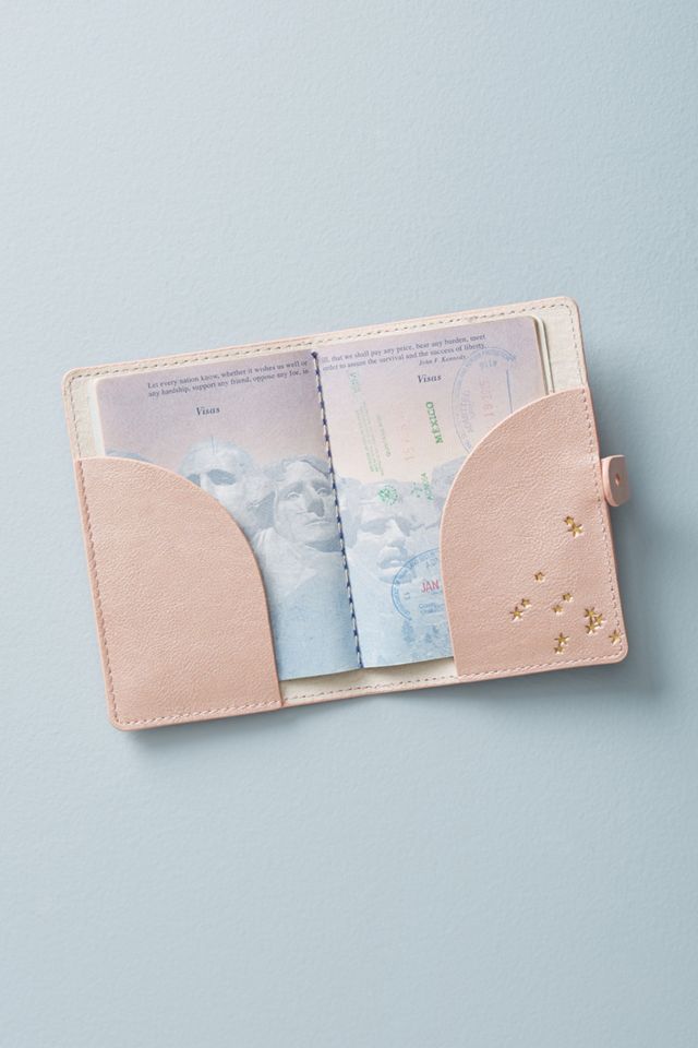 Star-Dusted Passport Holder #1