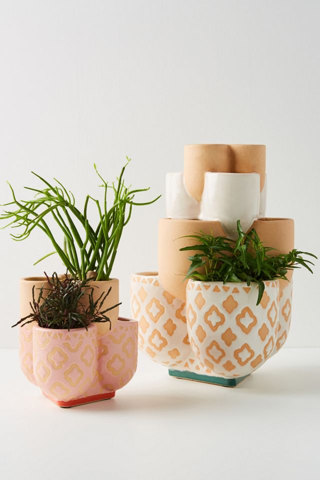 Ena Strawberry Pot #1