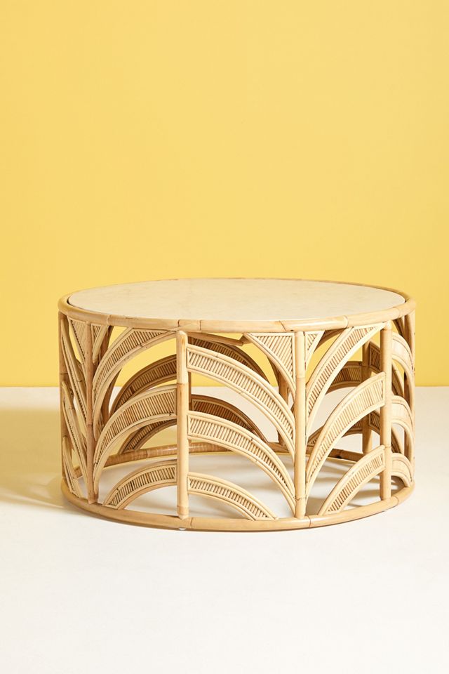Natural World Coffee Table #1