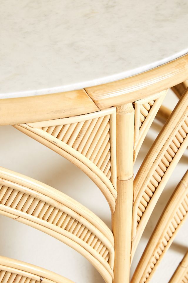 Natural World Coffee Table #2