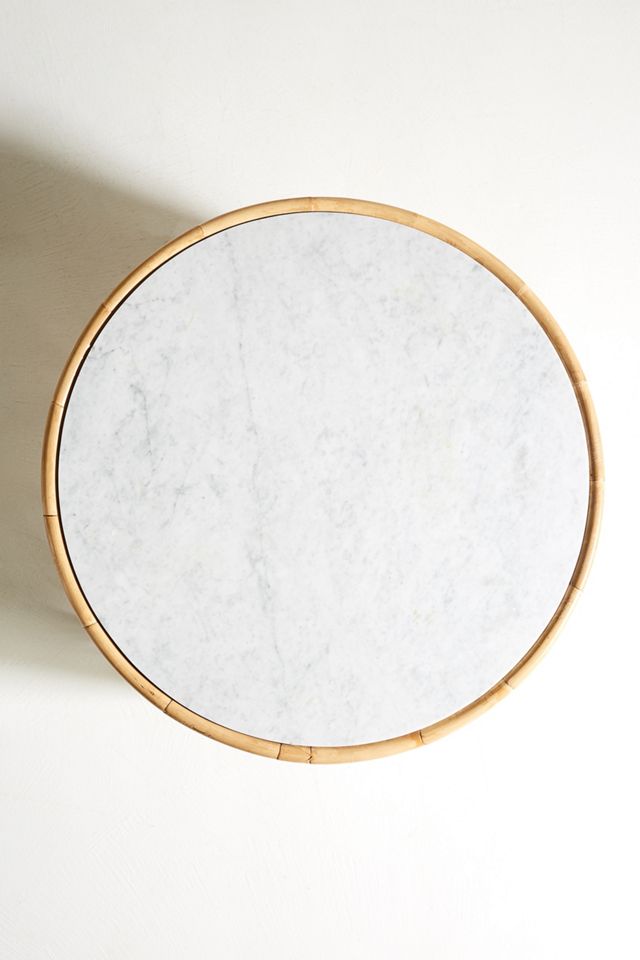 Natural World Coffee Table #3