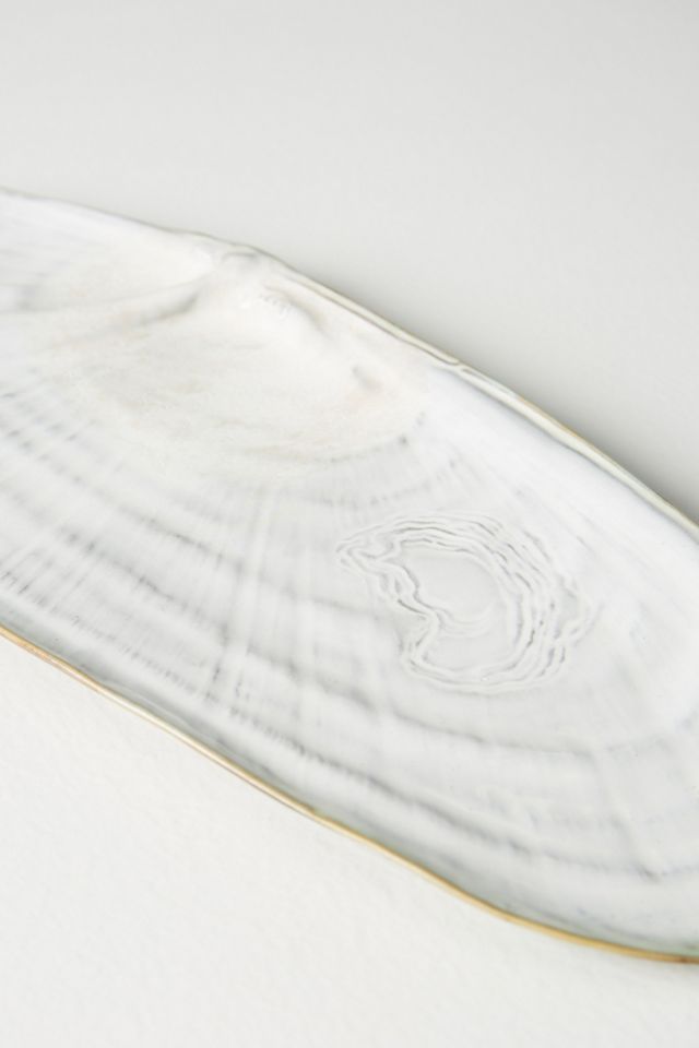 Assiette coquillage Lagoon #3