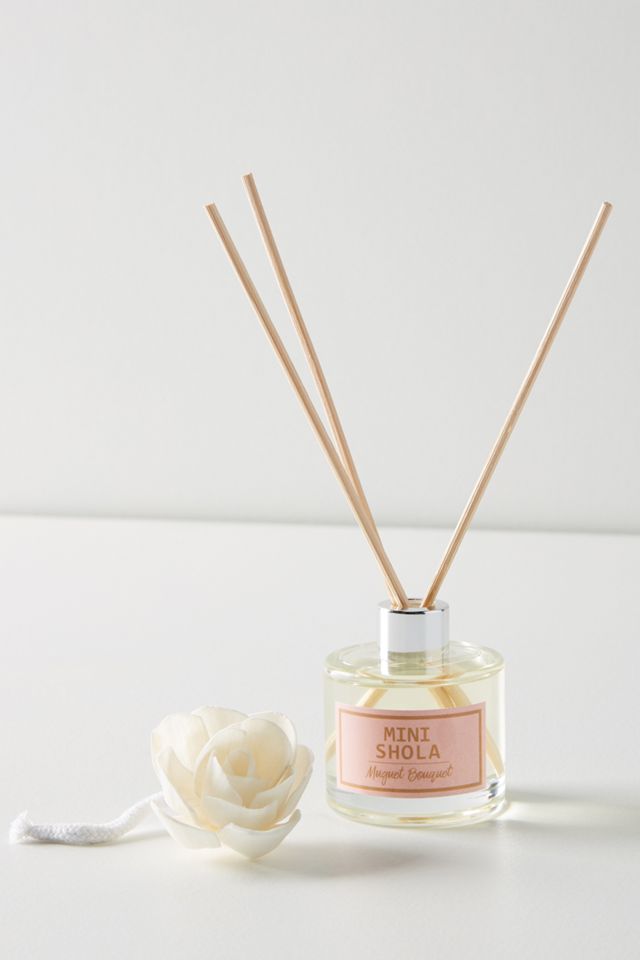 Miniature Oil Diffuser #1