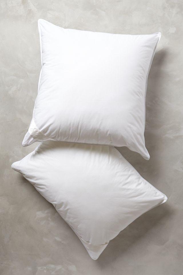 Hypoallergenic Down Euro Sham Insert #1