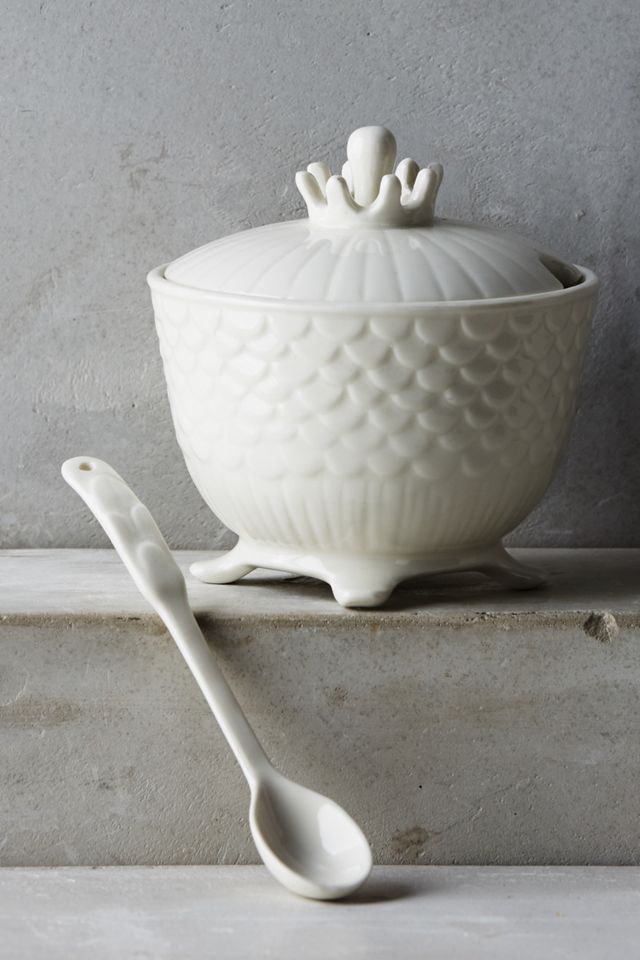 Poisson Sugar Bowl