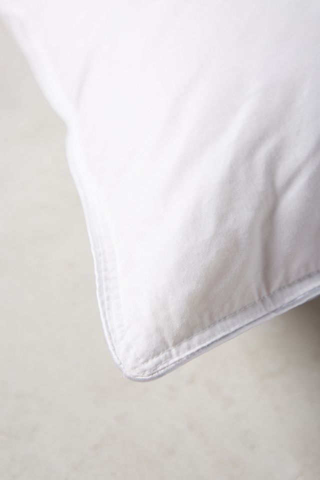 Vienna Down Euro Sham Insert #1