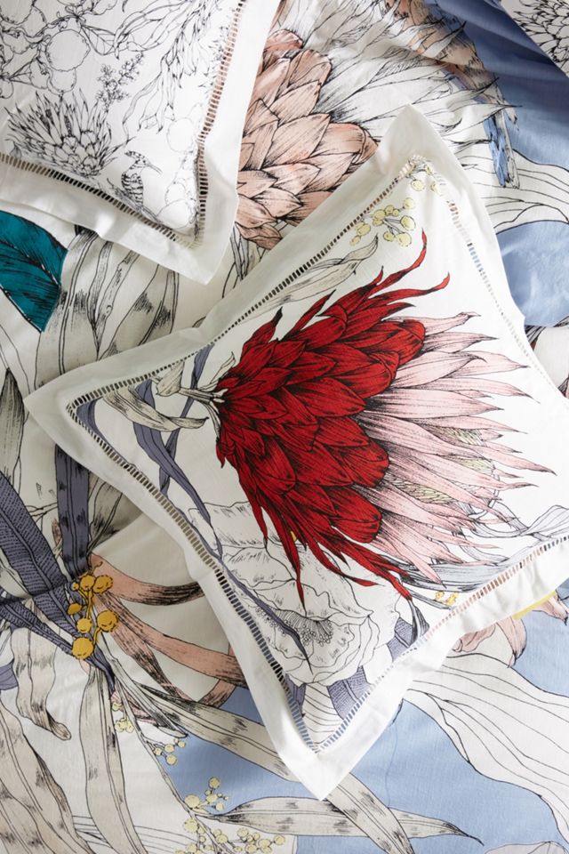 Longina Sketched Songbird Euro Sham