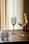 The Fiorella Drinkware Bundle