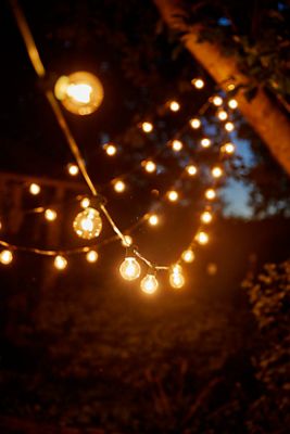 Clear Bulbs + Strands Bundle