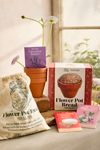 Flower Pot Bread Kit Bundle