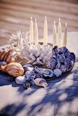 Shell Candle Centerpiece Bundle