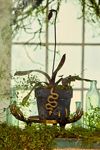 Spooky Planter Bundle