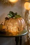 Lit Pumpkin Display Bundle