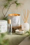 Linnea Forest Fir Collection Bundle