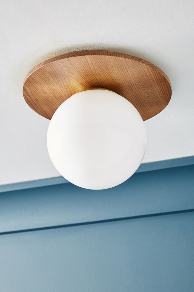 Tanner Globe Flush Mount #1