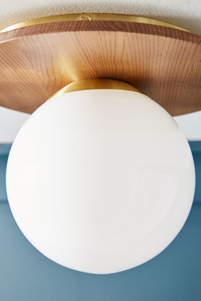 Tanner Globe Flush Mount #2