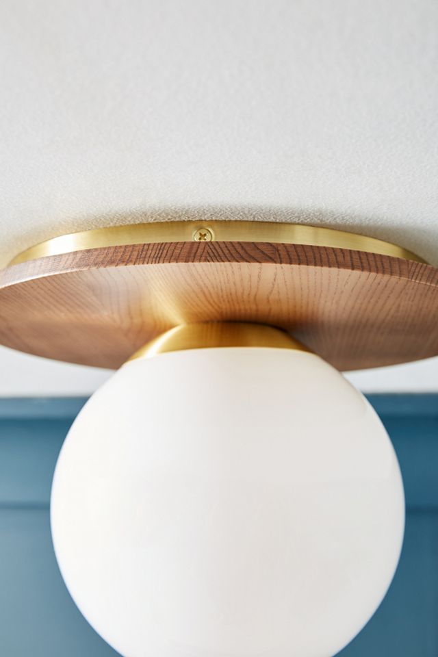 Tanner Globe Flush Mount #3