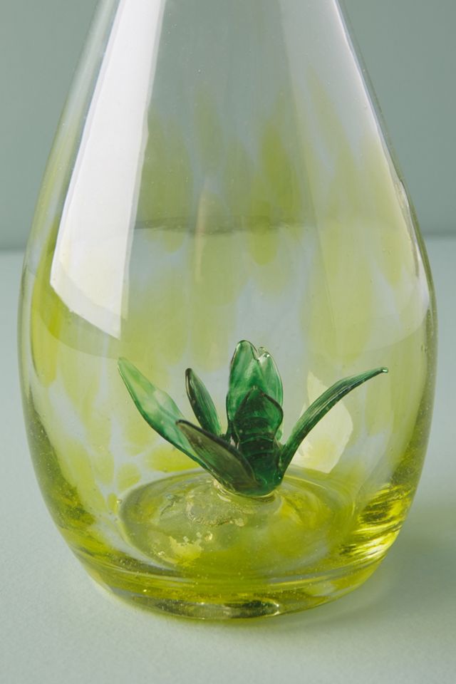 Cantina Carafe #3