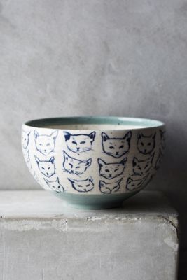 Cat Study Bowl