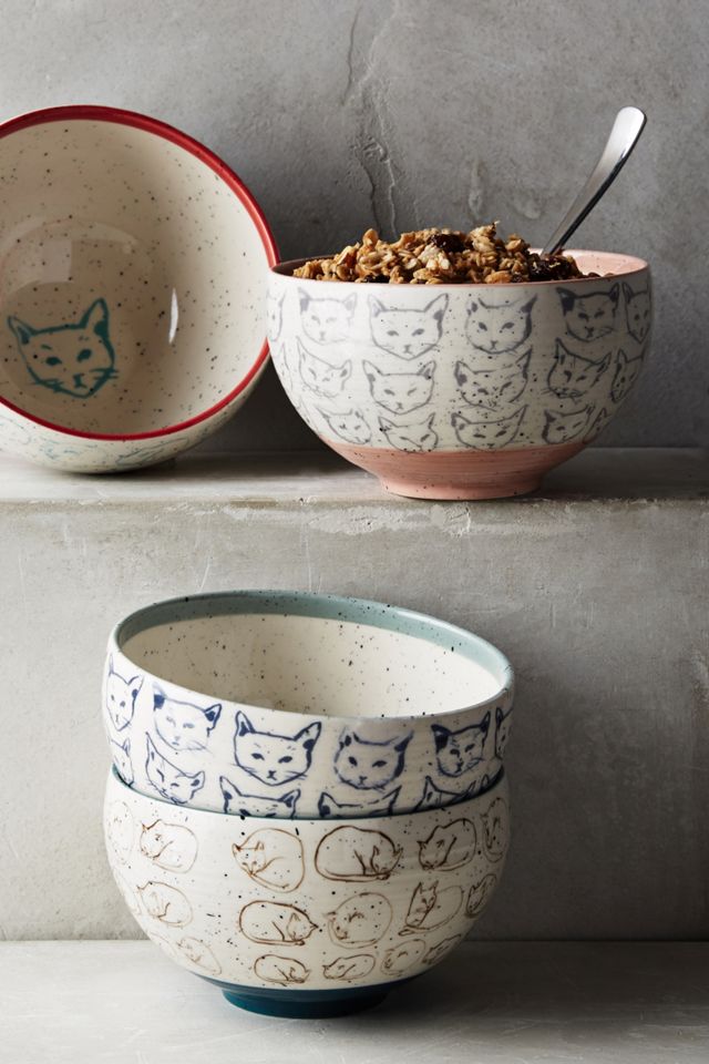 Cat Study Bowl #2